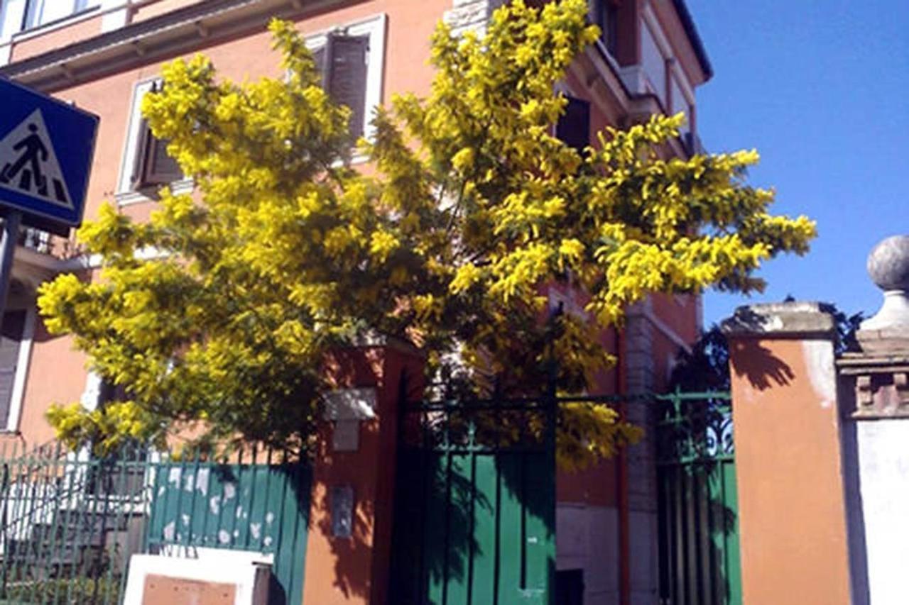 Garden Flat By Vatican Walls Róma Kültér fotó